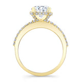 Hidden Halo Ring