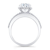 Hidden Halo Ring