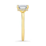 Emerald Cut Engagement Ring