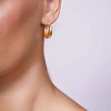 Tapered Gold Hoop Domed Earrings