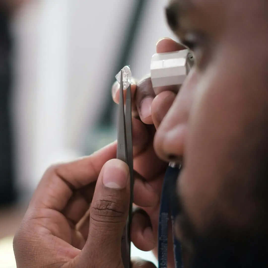 Photo by Dillon Wanner on Unsplash