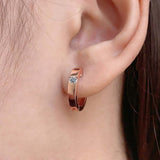 Single Diamond Hoop Earrings