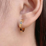 Single Diamond Hoop Earrings