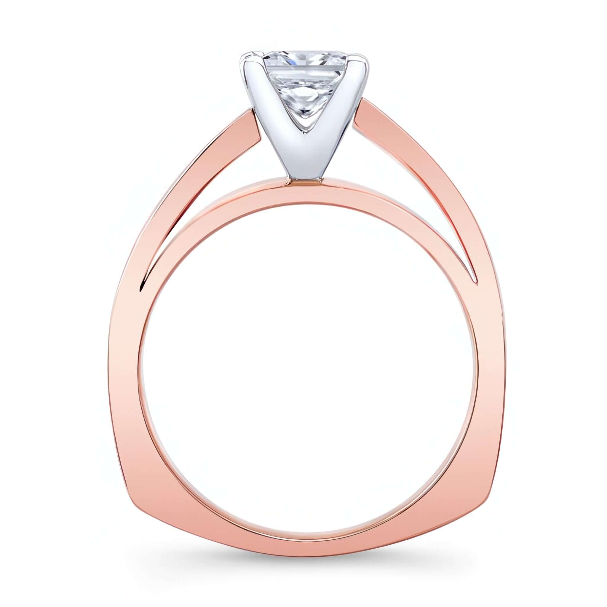 Princess Cut Lab Grown Diamond Cathedral Solitaire Ring with a thick flat band and four prong setting