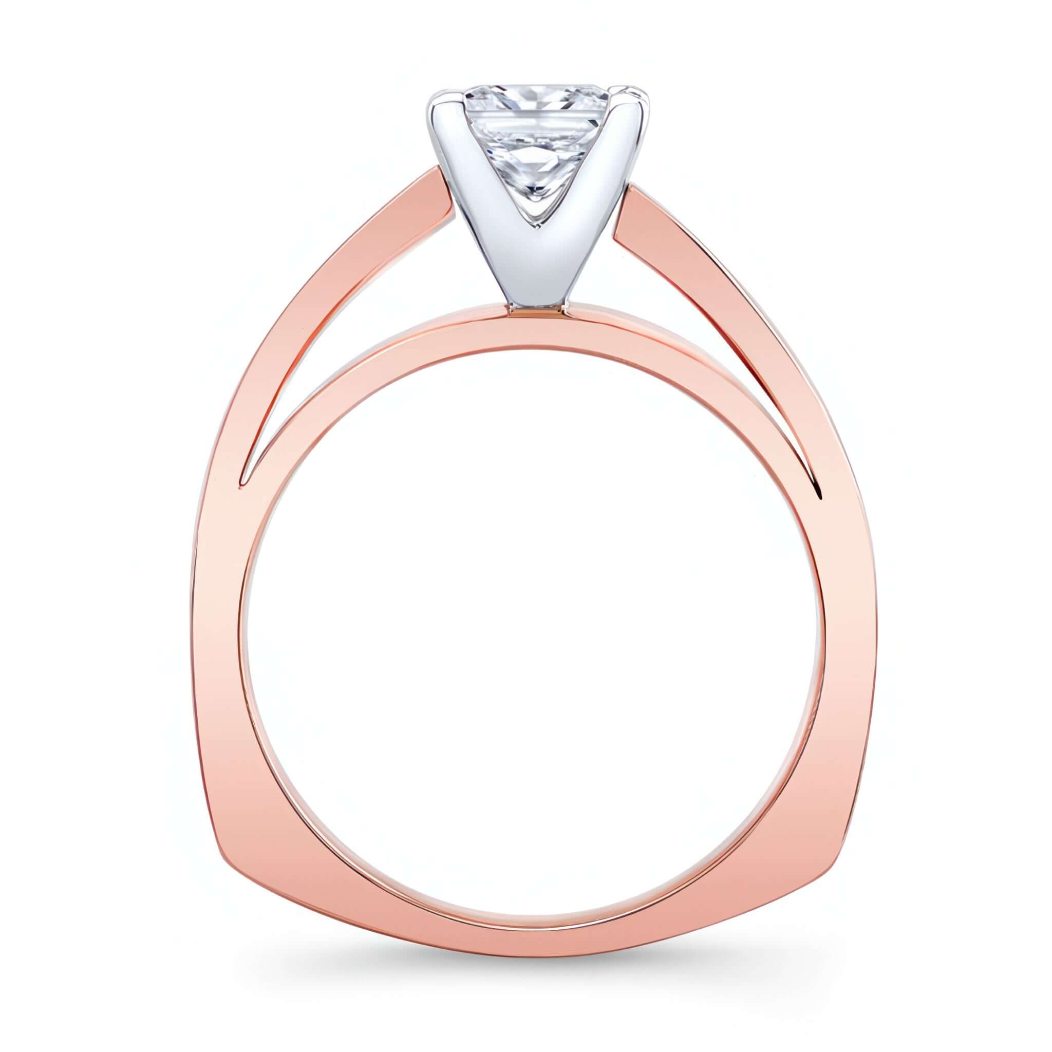 Princess Cut Pave Engagement Ring