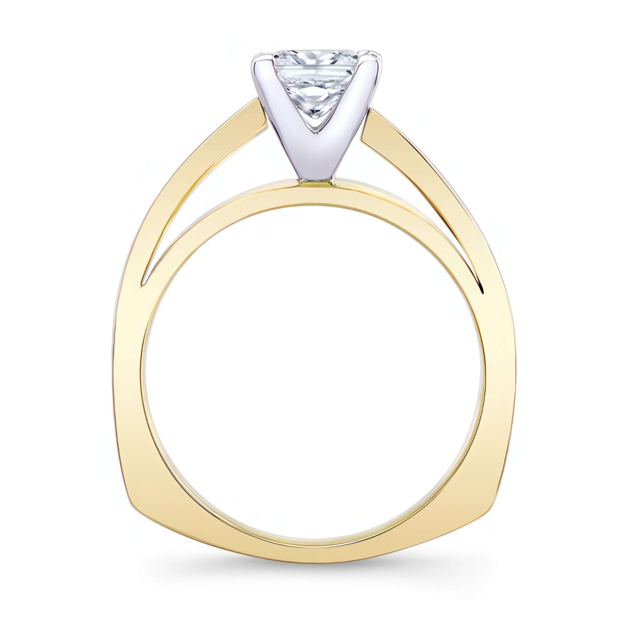 Princess Cut Moissanite Pave Engagement Ring