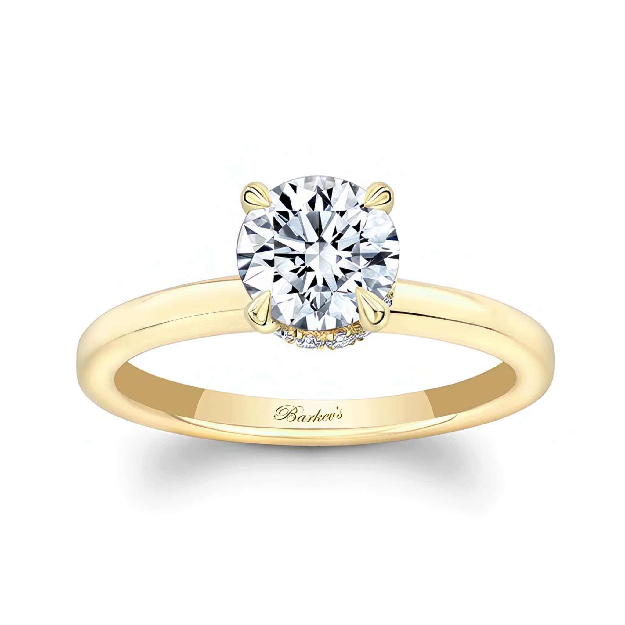 Round Hidden Halo Engagement Ring