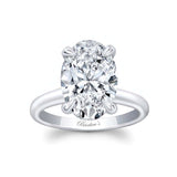 Completed Ring (United States Size 10.50)