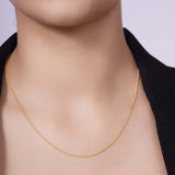 Gold Rolo Chain