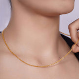 Gold Rolo Chain