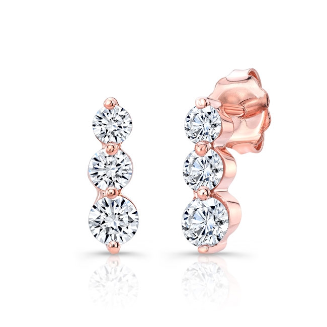 Rose Gold Small Diamond Journey Earrings